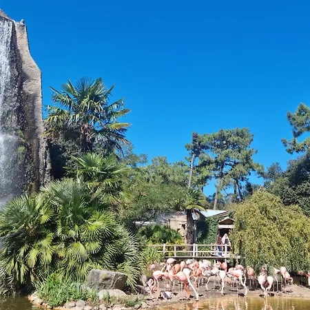 Charmante Maison Avec Piscine 度假居