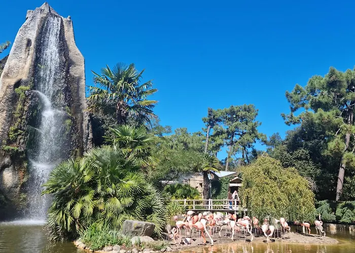 Charmante Maison Avec Piscine Сasa de vacaciones